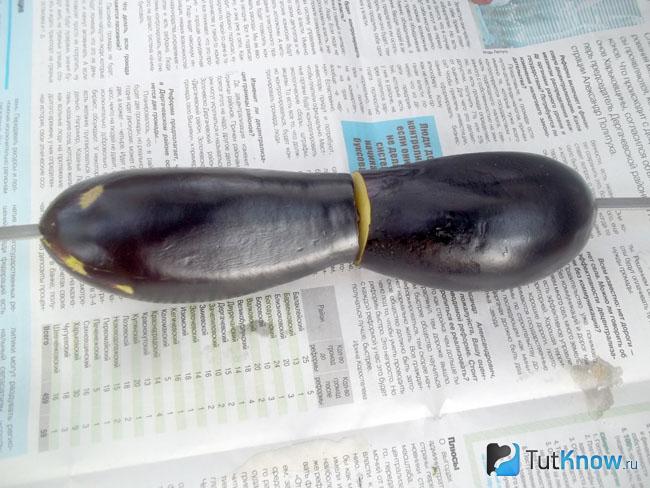 Баклажаны нанизаны на шампур