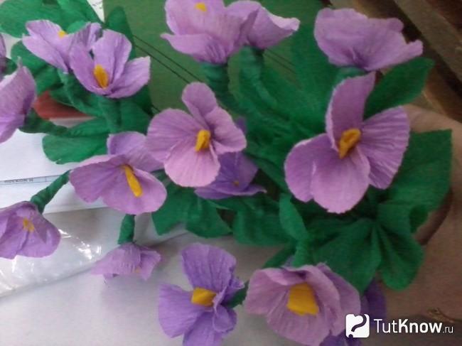 Как выглядят фиалки из гофрированной бумаги