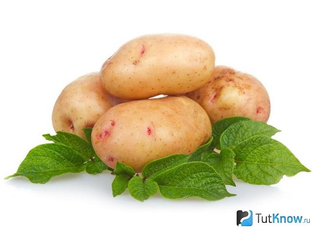 Клубни картофеля на белом фоне