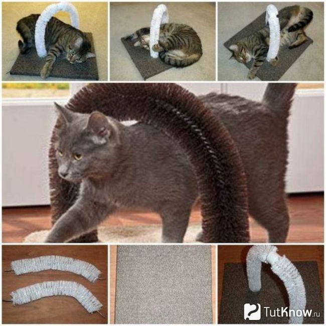 Арка для кота