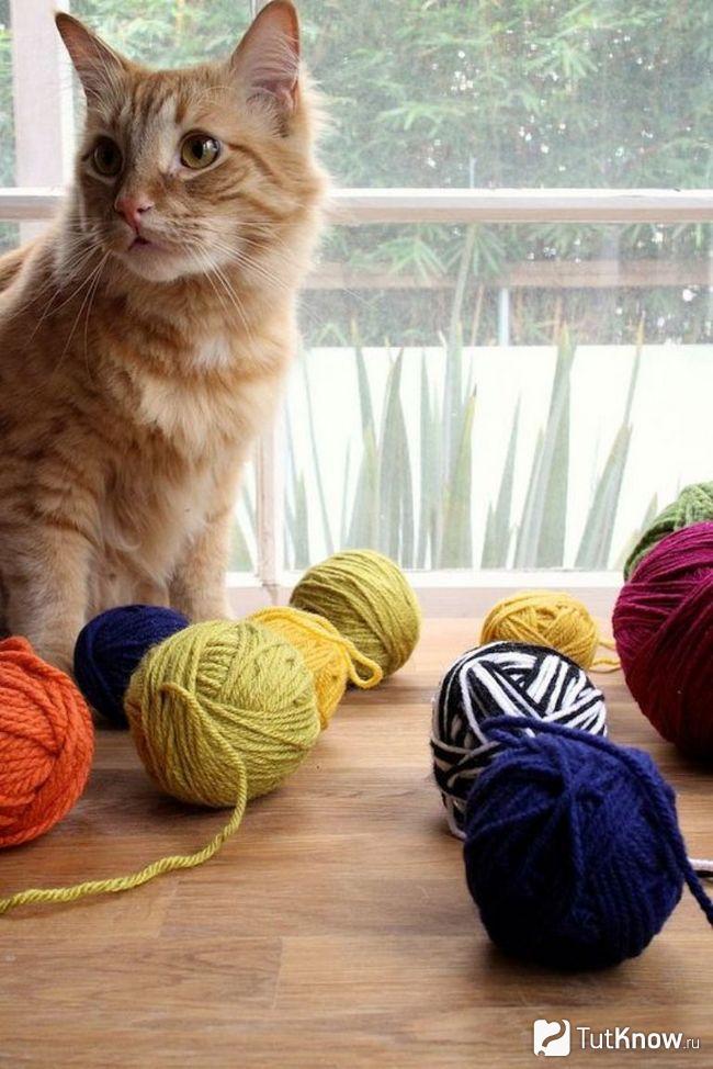 Клубочки нити возле кота