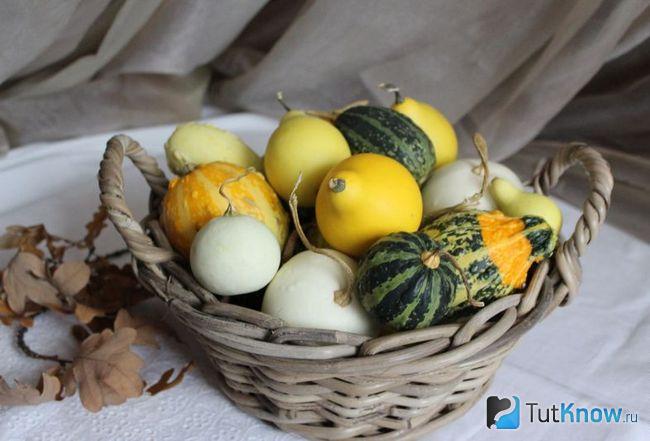 Тыквы в плетёной корзинке