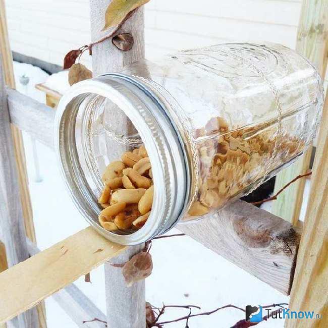 Орешки для белки внутри стеклянной банки