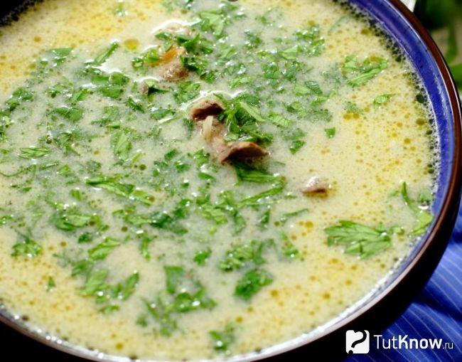 Чихиртма из курицы и потрошков