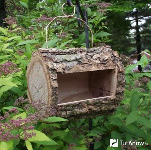 Кормушка из крупного пня