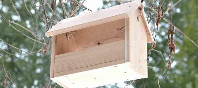 Вид снизу на подвешенную кормушку