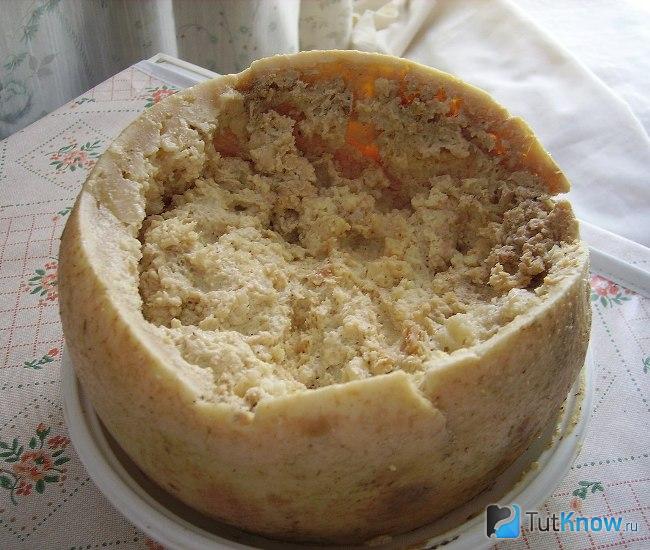 Сыр Касу Марцу