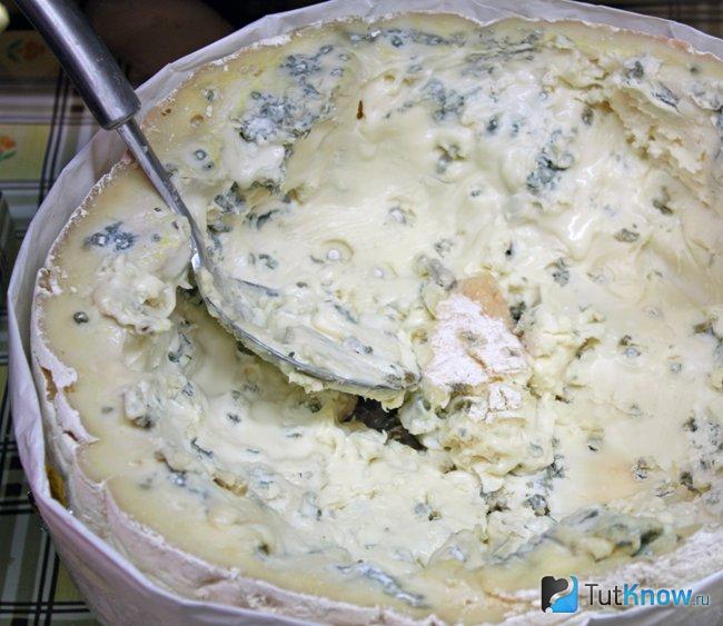 Как едят сыр Касу Марцу