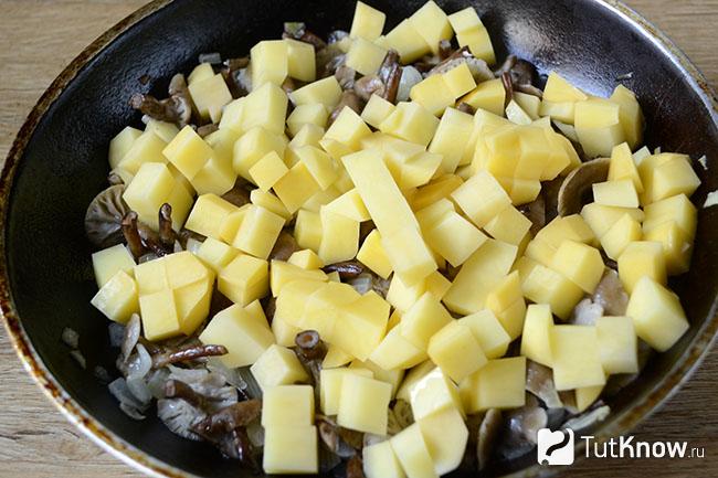 Обжарка опят и картофеля