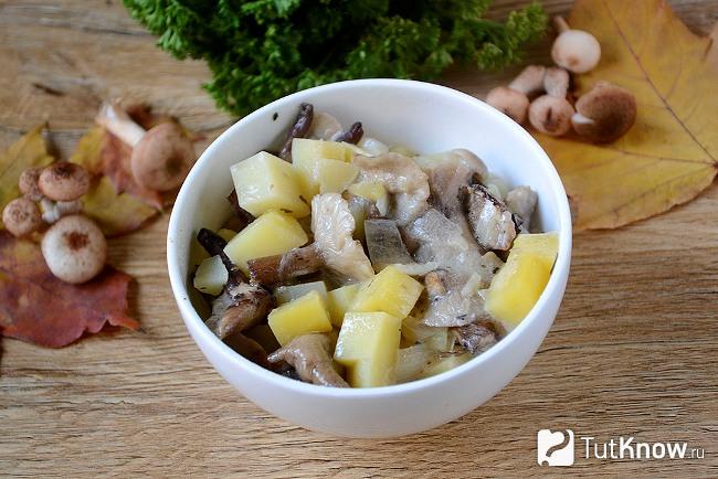 Готовый картофель, тушеный с опятами
