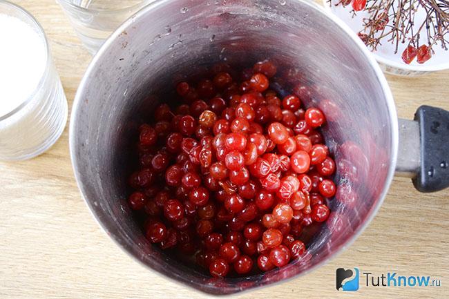 Ягоды калины в кастрюльке