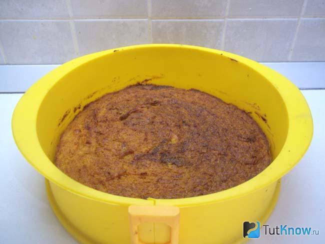 Коржи для торта испечены