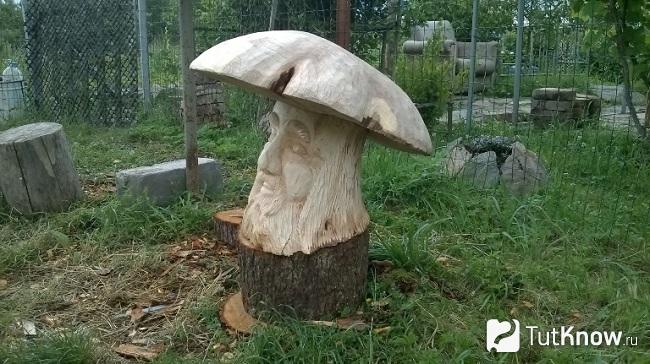 Гриб из пня