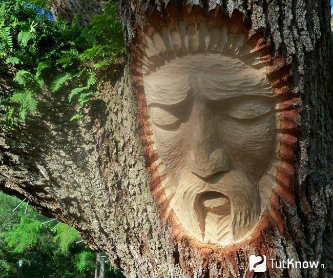 Вырезанное лицо на пне