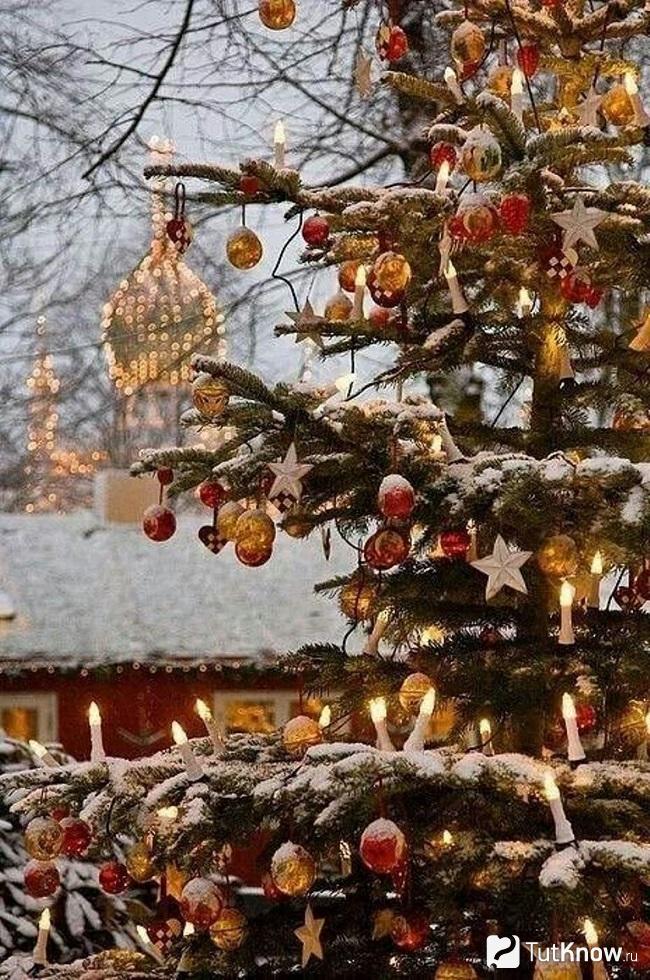 Наряжаем елку возле дома