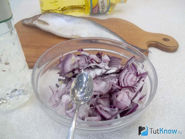 Репчатый лук заправлен сахаром и уксусом