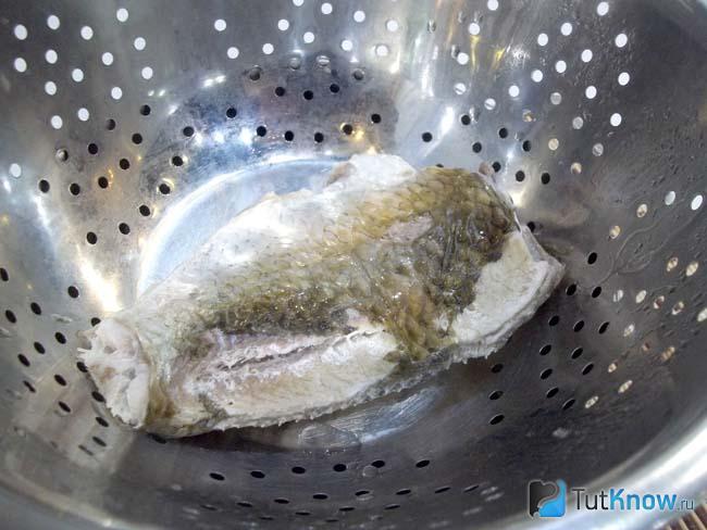 Готовый карась паровой