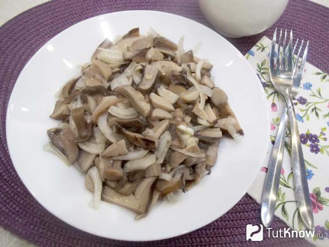 Готовый салат из маринованных грибов с репчатым луком в масле
