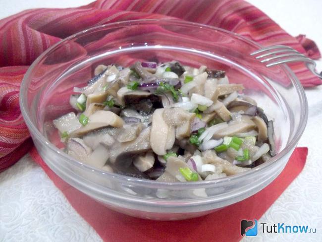 Готовые маринованные грибы с луком в масле