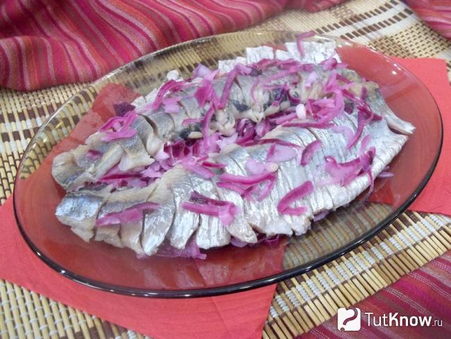 Готовая селедка с луком в масле с уксусом