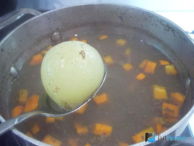 Из кастрюли извлечена луковица