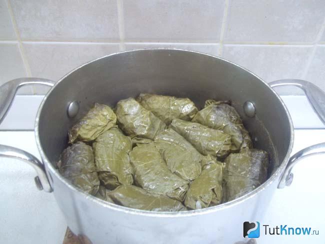 Готовая долма по-турецки с замороженными листьями винограда
