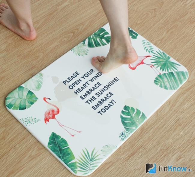 Каменный коврик из диатомовой земли