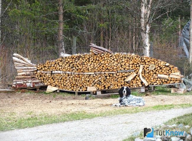 Дрова сложенны в виде большой рыбы