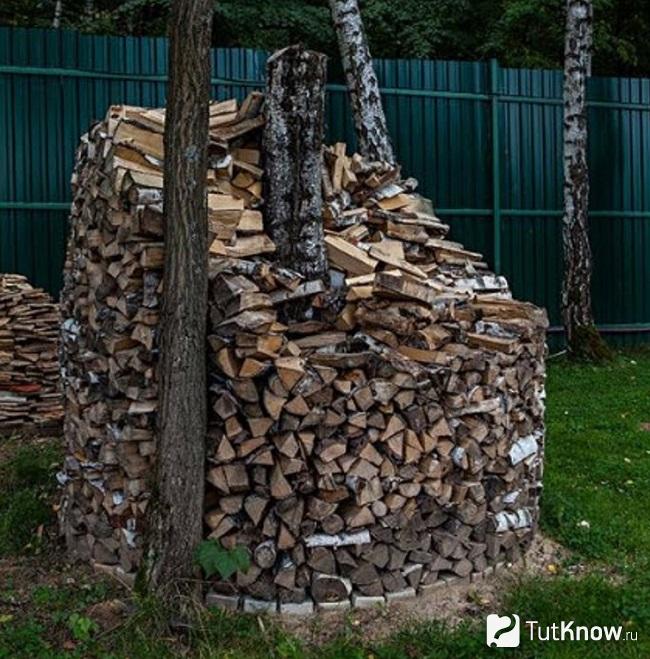 Поленница возле растущих деревьев