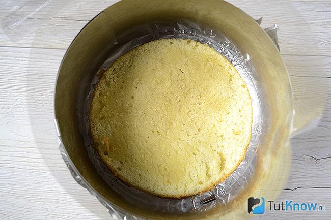 Бисквитный корж для торта