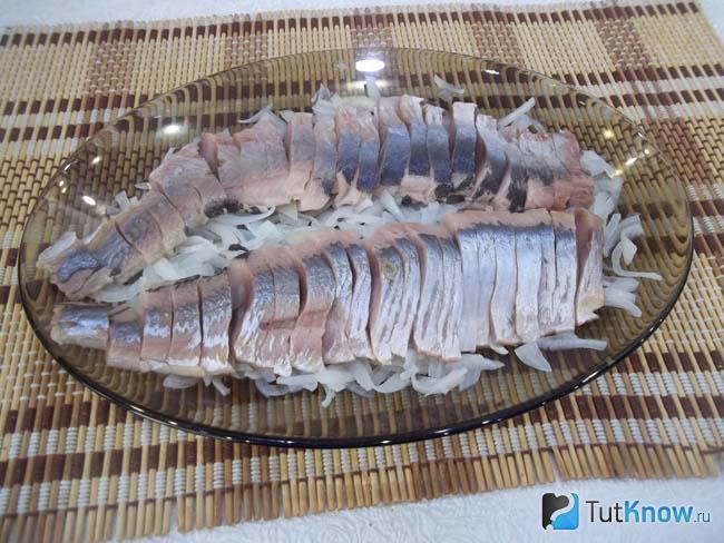 К луку добавлена селедка