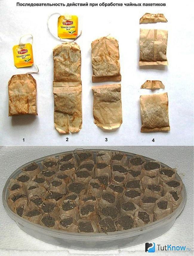 Оригинальный вариант посадки рассады