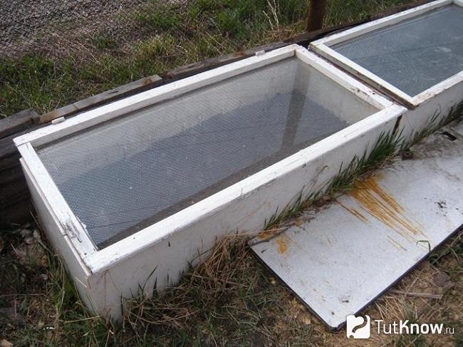 Парник из старого холодильника
