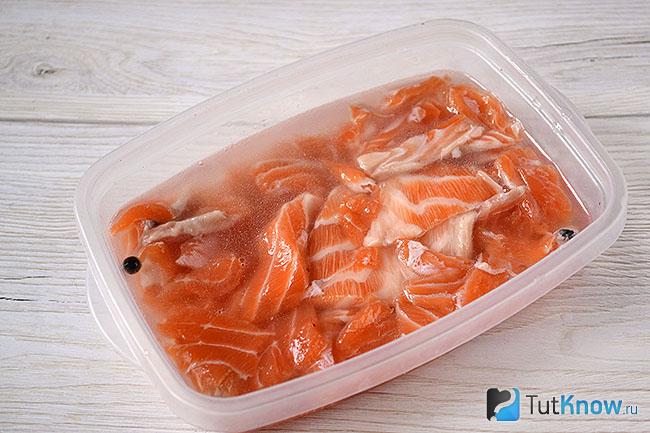 Кусочки семги в рассоле