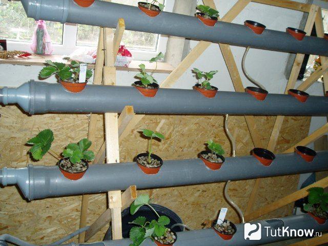 Вертикальный стеллаж для рассады