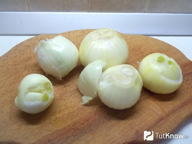Репчатый лук очищен