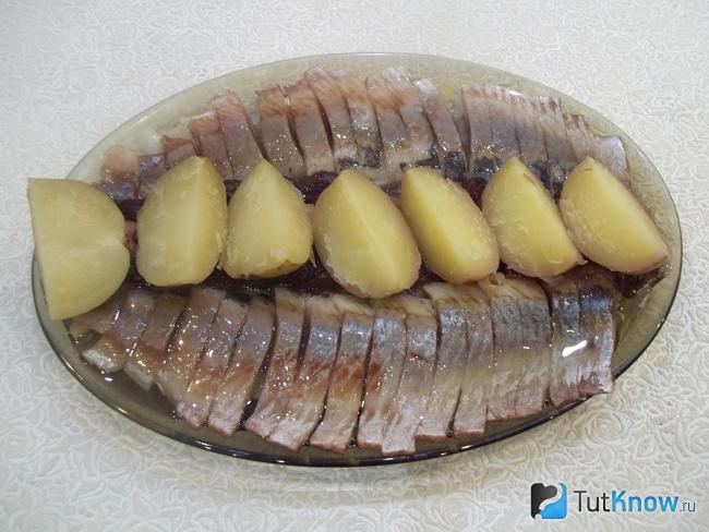 Готовая сельдь с луком и картофелем в растительном масле