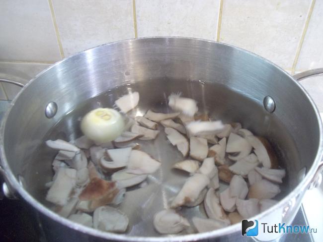 Грибы с луковицей залиты водой