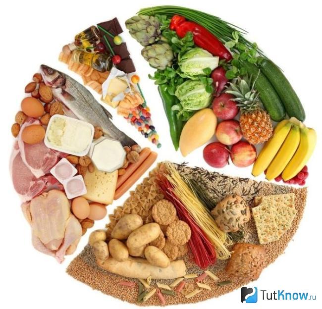 Продукты питания на сушке тела для женщин