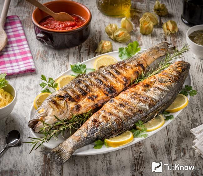 Тушеный морской окунь с соусом маринара