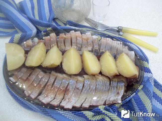 Готовая сельдь с луком и картофелем в растительном масле
