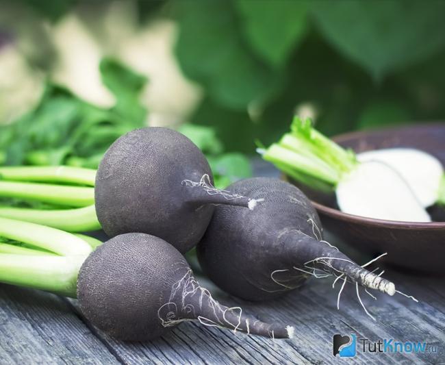 Черная редька для похудения