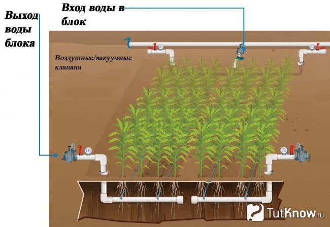 Схема системы подземного полива