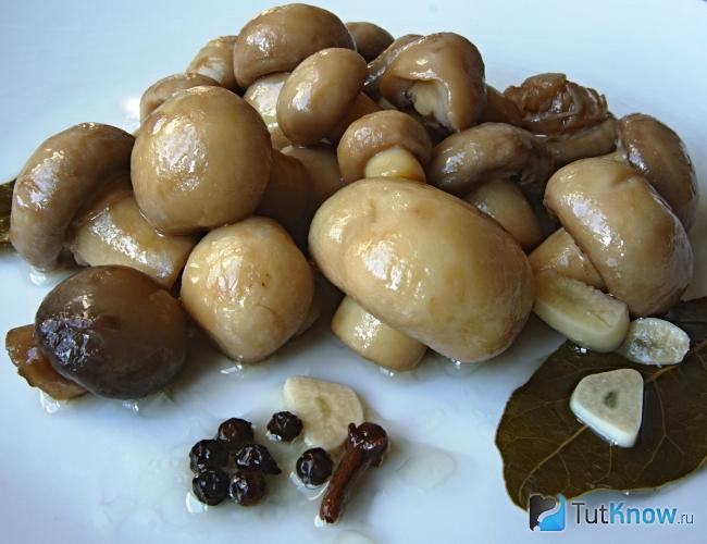 Маринованные шампиньоны