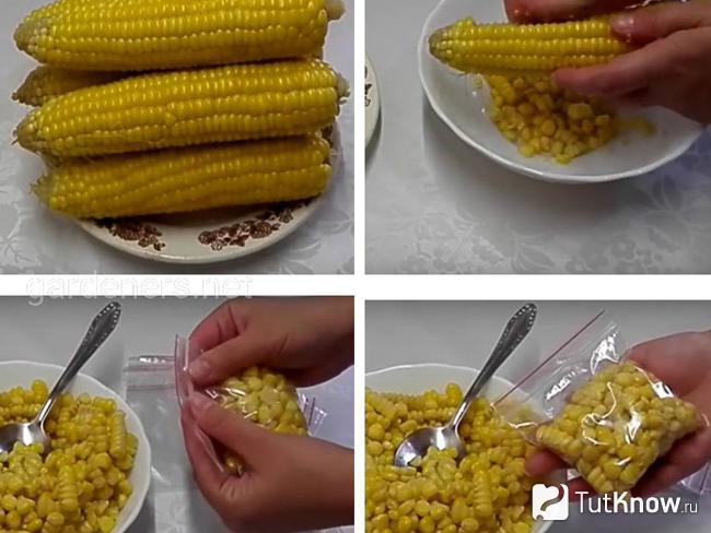 Заморозка бланшированных зерен кукурузы