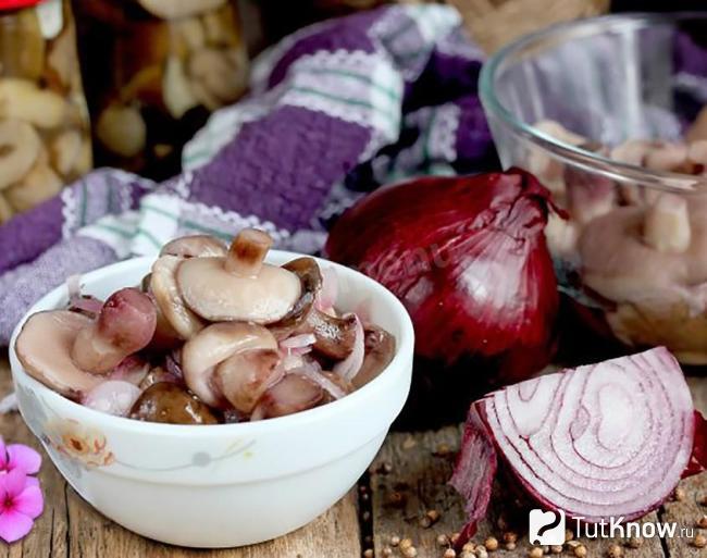 Маринованные маслята