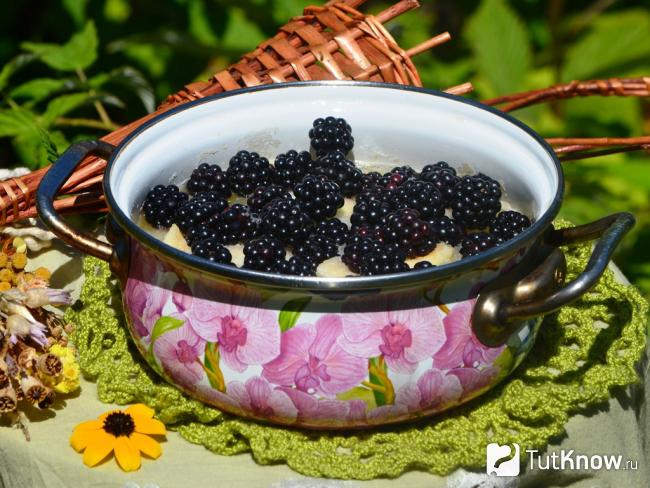 Готовая заготовка из ежевики