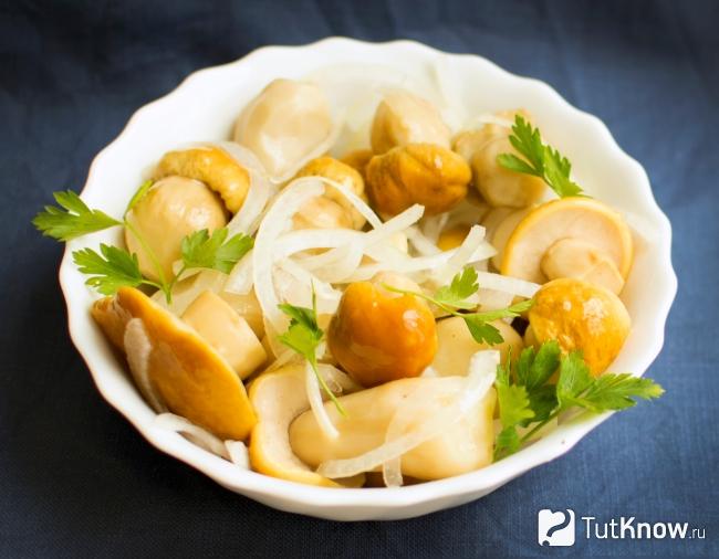 Маринованные белые грибы в тарелке