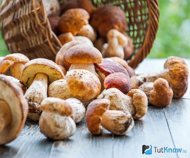 Грибы как запрещенный продукт на бесшлаковой диете