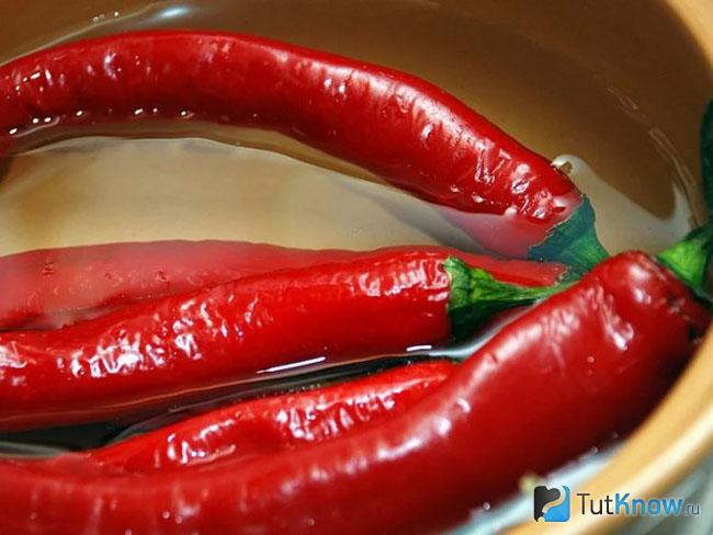 Горький перец, маринованный с медом